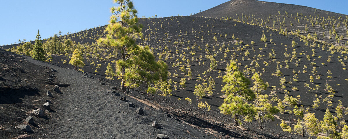 excursiones desde Santa Cruz de La Palma