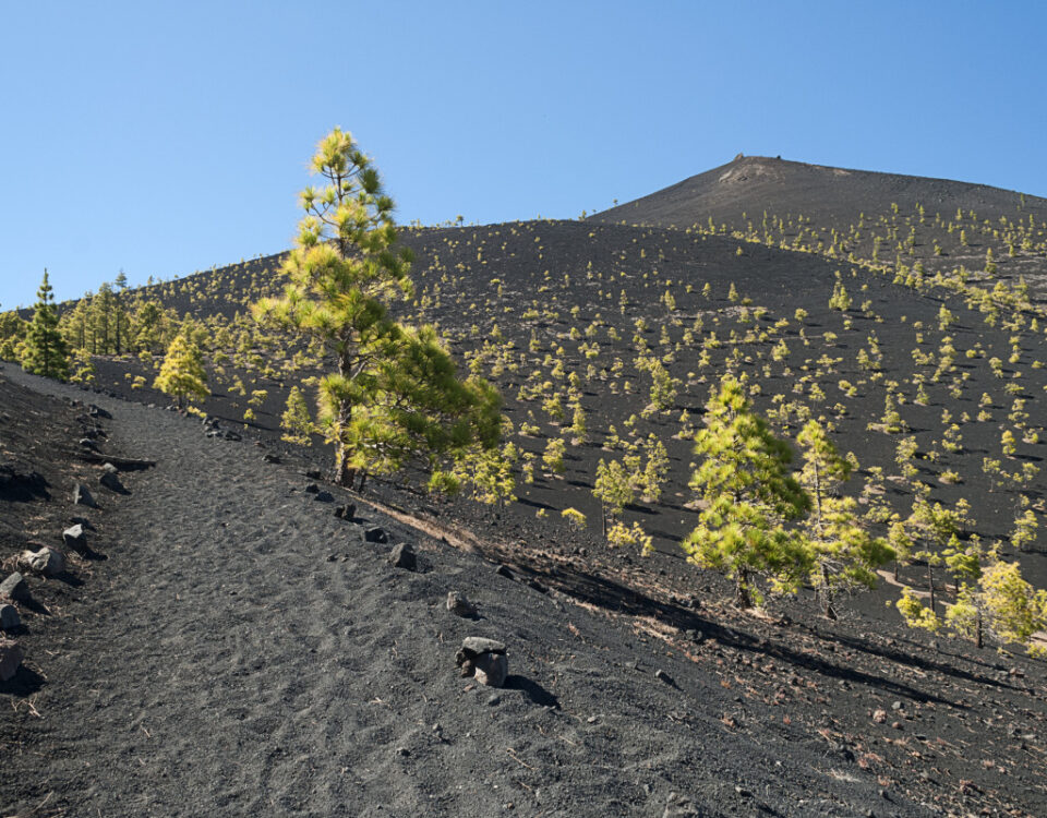 excursiones desde Santa Cruz de La Palma